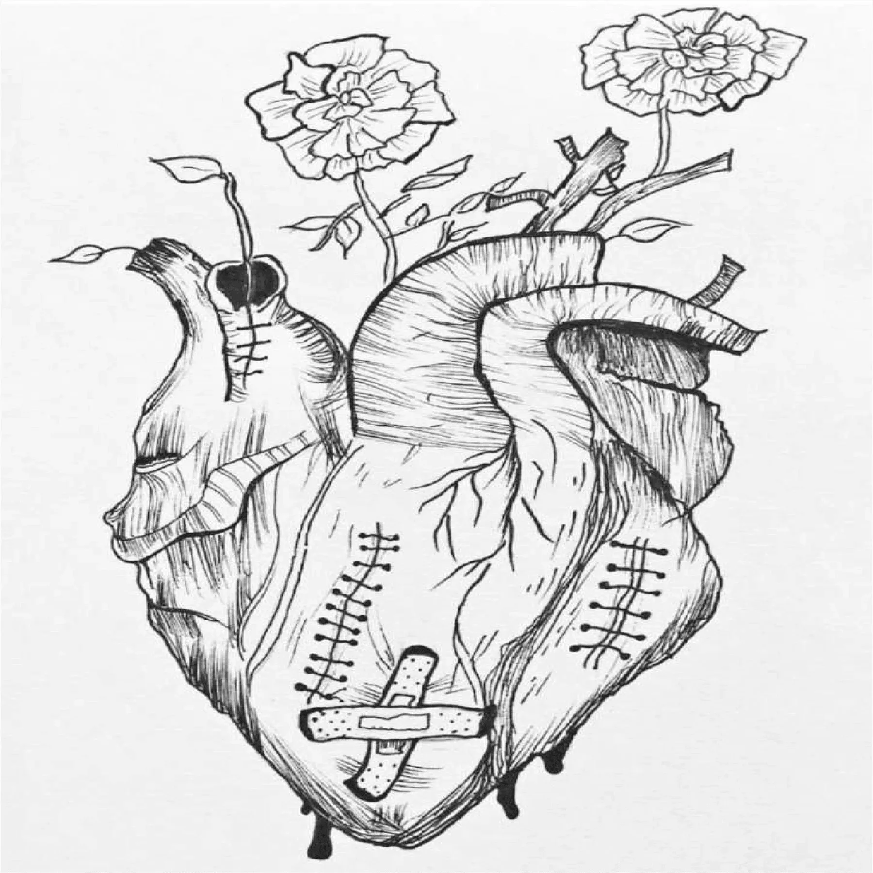 Recover Heart