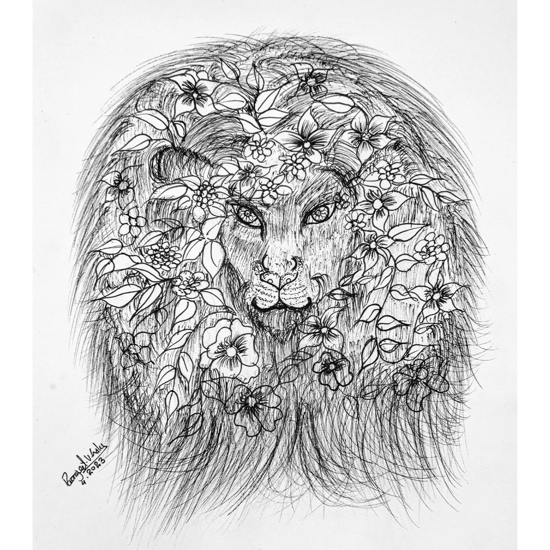 Beauty Behind Wildlife
