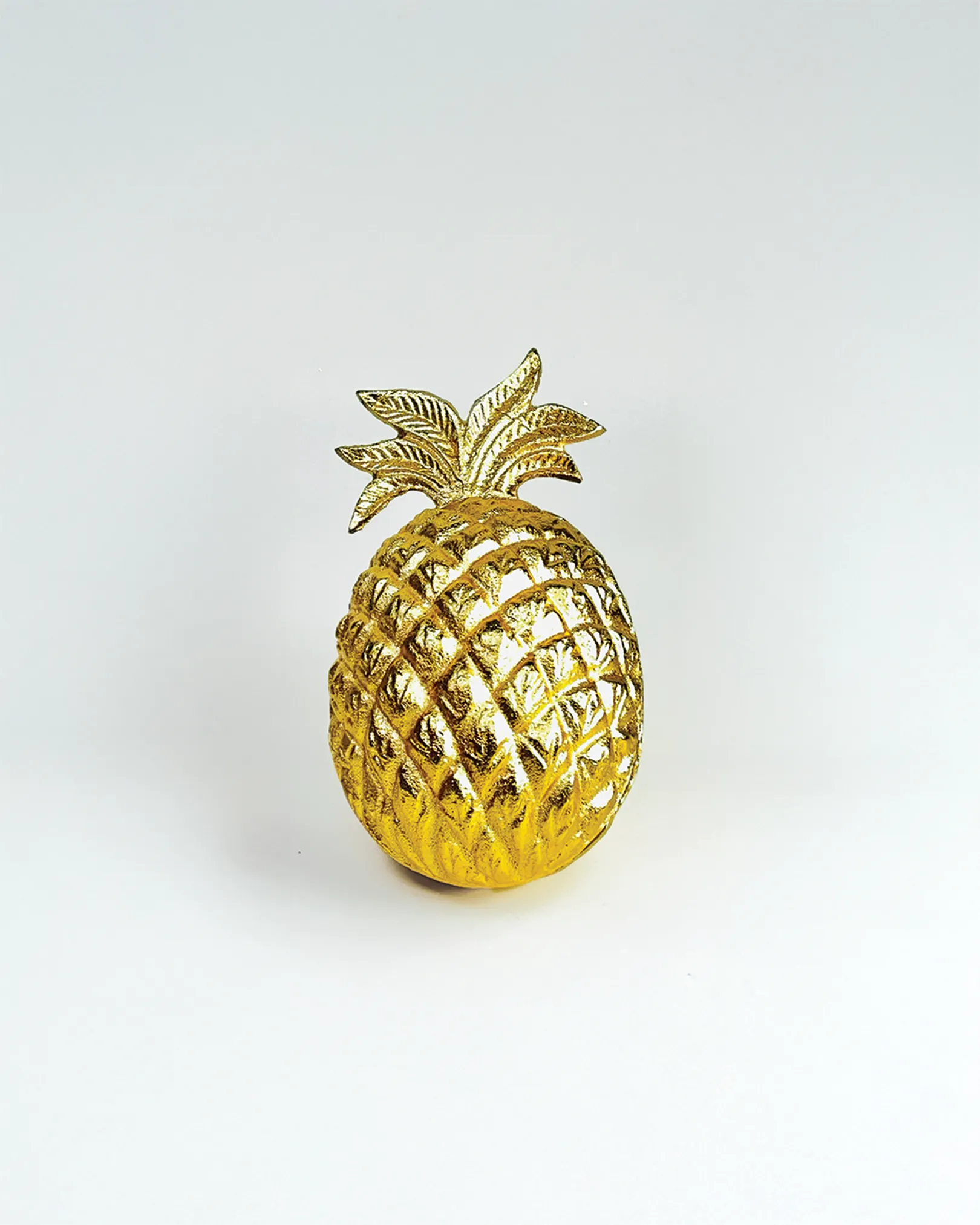Golden Pineapple Treasure Box - Kash Aur Brush